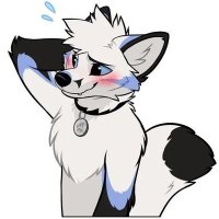 Kyle lona (@lona_kyle) 's Twitter Profile