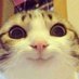 emr. (@anamelullol) Twitter profile photo emr. (@anamelullol) Twitter profile photo