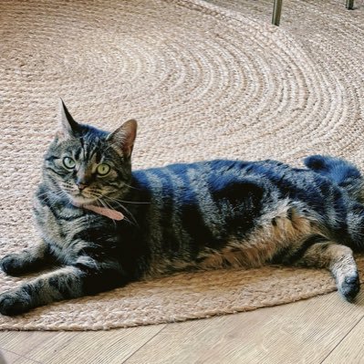 viana_ZhangNJ's profile picture. Research Associate from AGENCY Project and OpenLab, NCL.  Trained in Portuguese, software engineering, bioinformatics, and HCI.