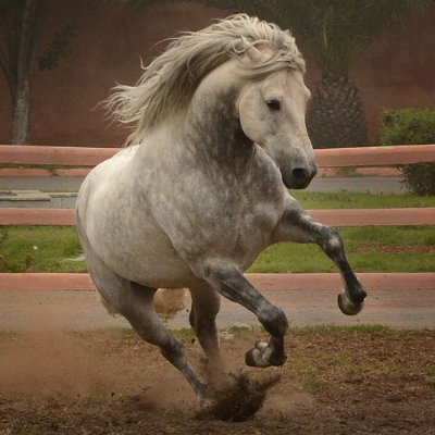 Azlisadaka's profile picture. #SCC