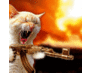 Shoota (@shootacat) Twitter profile photo Shoota (@shootacat) Twitter profile photo