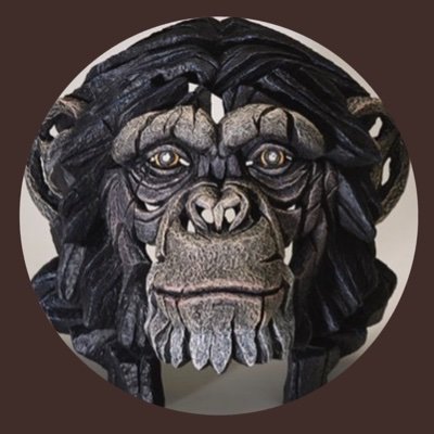 No_cod_chimp Profile Picture