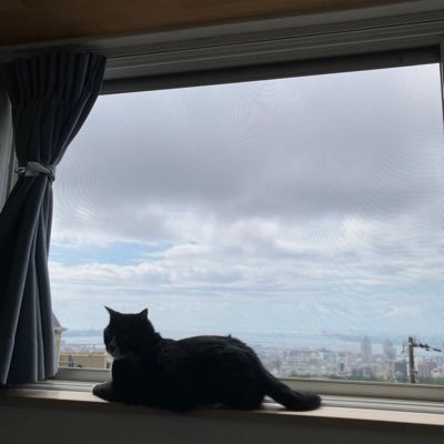 futa_1983's profile picture. 会社員を続けながら、“もうひとつの収入源”を育てています。 40代｜不動産37戸（戸建3＋アパート4棟）｜法人3期目｜個人・法人の合算家賃年収1,500万 副業・資産形成をコツコツ積み上げるリアルを発信。 「自分で選べる未来」を作るため｜インフレに負けない資産運用｜神戸マラソン2025｜生成AIを勉強中