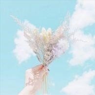 起業家／生活困窮者の方々へ投資などで増やした資産のお裾分けを始めました。／毎日10万円プレゼント中です🎉 フォローして参加ください👍🏻
 ここから配布中🍸 https://t.co/yUOuM1HEhy