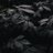 Ragha_sh24's profile image