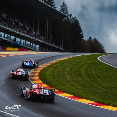 F1. Si tiene ruedas y un buen motor, me gusta. Nací viendo correr a un tal Loeb, Schumacher, Rossi, Kristensen, Solberg 🐐. Banco las carreras de GTs.