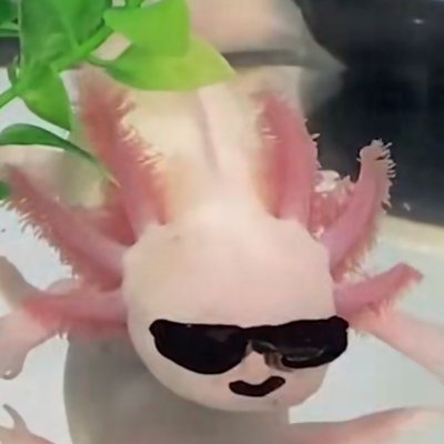 slagos22096's profile picture. :^)