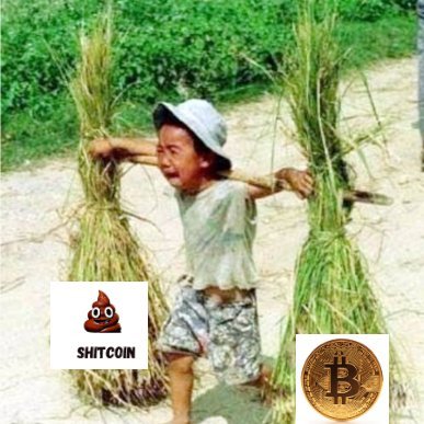 ChivVar's profile picture. 