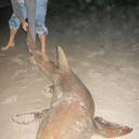 Wallace Lea - @WallaceLea - Twitter