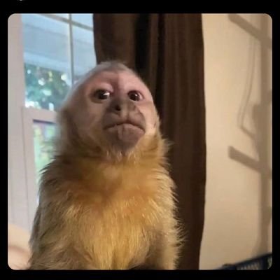 Introvertido___'s profile picture. 