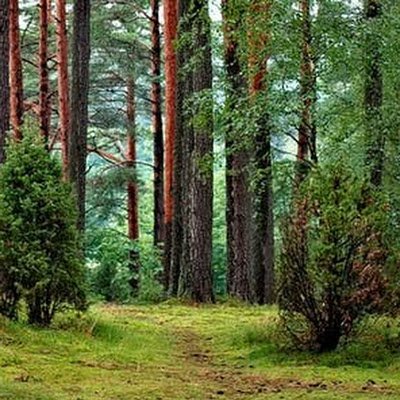 JeovanyAlv90087's profile picture. 