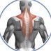 Musculoskeletal Disorders (@msdresearch) Twitter profile photo Musculoskeletal Disorders (@msdresearch) Twitter profile photo