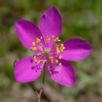 Charina Gracia Banaay (@cbbanaay) 's Twitter Profile