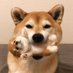 ZH_Ye (@zihang_yee) Twitter profile photo ZH_Ye (@zihang_yee) Twitter profile photo