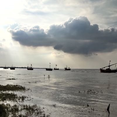 Ak2895's profile picture. 🔻 form the river to the sea 🍉🍉🍉will be free🔺