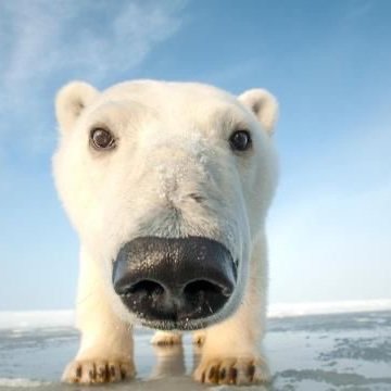 re1kagi's profile picture. he/him
❤️good omens ❤️ 
slava ukraini 🇺🇦