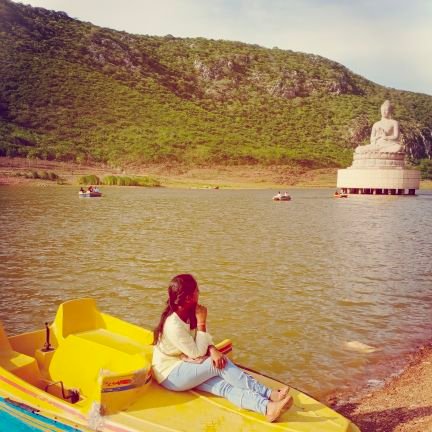 Shivani00253703's profile picture. 