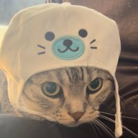逆津ツカサ@DOCTORPRICEドラマ化 (@sakatu_tsukasa) 's Twitter Profile Photo 逆津ツカサ@DOCTORPRICEドラマ化 (@sakatu_tsukasa) 's Twitter Profile Photo