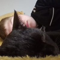 Tara Knill (@tarastar74) 's Twitter Profile