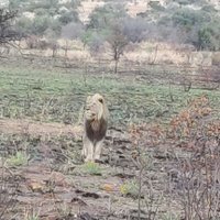 Ray (@wolverin81) 's Twitter Profile