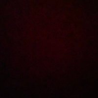 y (@sssppclts) 's Twitter Profile