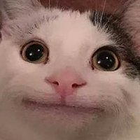 Meme Without Context (@memmwithoutcon) 's Twitter Profile