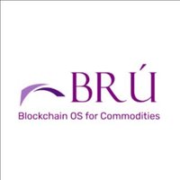 Brú Finance(@bru_finance) 's Twitter Profileg