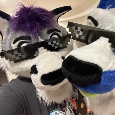 @DamianTheHusky