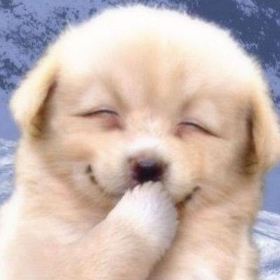 PONNICHI1's profile picture. 目には目を。