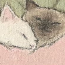 mellowpupvr's profile picture. 