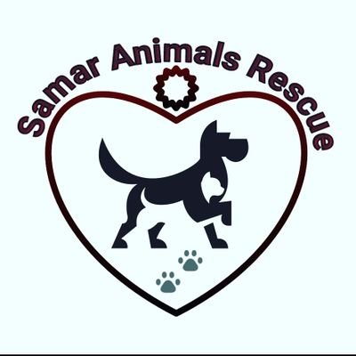we can only give happiness to dogs through Saving their lives please dear friends am hambly requesting for your help towards these rescued dogs