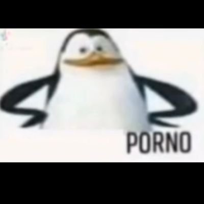 Porno Penguin 🔛🔝 
I love Porrno
