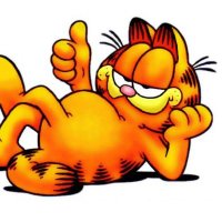 garfieldcat(@garfield_ronda) 's Twitter Profile Photo