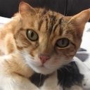 Bailey Henry - @BaileyHenr23935 - Twitter