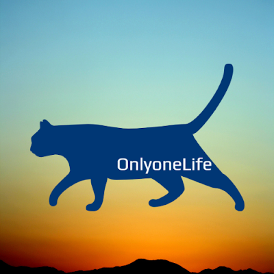 ao_onlyone's profile picture. ヨガ🧘ピラティス🤸自然🌅
自分とかないからᗢao╯
マシンピラティスインストラクター🌈