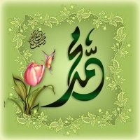 Eeman Umeed..Allah AlHaq hy (@yasminsmemon) 's Twitter Profile
