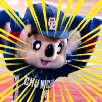 わたしも歳を取ったものだ🐾