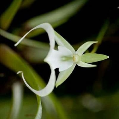 sanjugouda152's profile picture. 