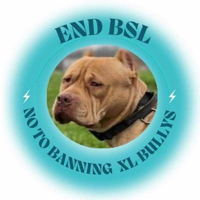 Esco died whilst in kennels when seized under the dangerous dogs act 1991 as did Lucy, Diesel plus more and families were not told sign the petition for change