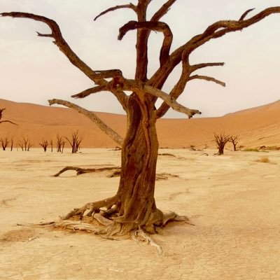 Toblero13's profile picture. slt
