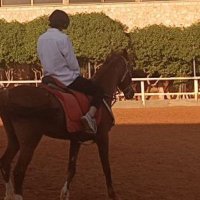 Sadık Agdaş (@sadikagdass) Twitter profile photo