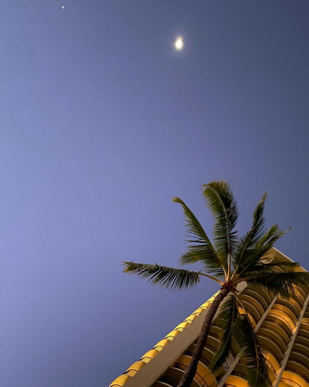 shasmet57118's profile picture. 