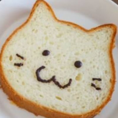 feel202's profile picture. 猫(ラグドール♀とスコティシュとロシアンのハーフ♂)を飼っています。  明るく元気にいきましょう(●'◡'●)ﾉ♥　