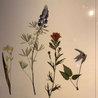 Z464052ZUn's profile picture. 