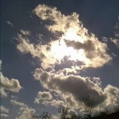 Validity53's profile picture. 