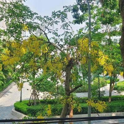 jae_inh's profile picture. I ❤ Việt Nam