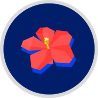 HackSC 🌺 (@hackscofficial) 's Twitter Profile
