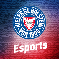 HolsteinEsports(@HolsteinEsports) 's Twitter Profile Photo