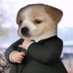 Shitpost Sensei 👾 (@relatablsp) Twitter profile photo Shitpost Sensei 👾 (@relatablsp) Twitter profile photo