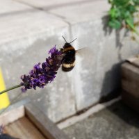 Ruth Clemson (@ruthclemson) 's Twitter Profile